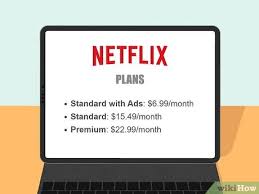 LINGOPIE VS. NETFLIX PLANS
